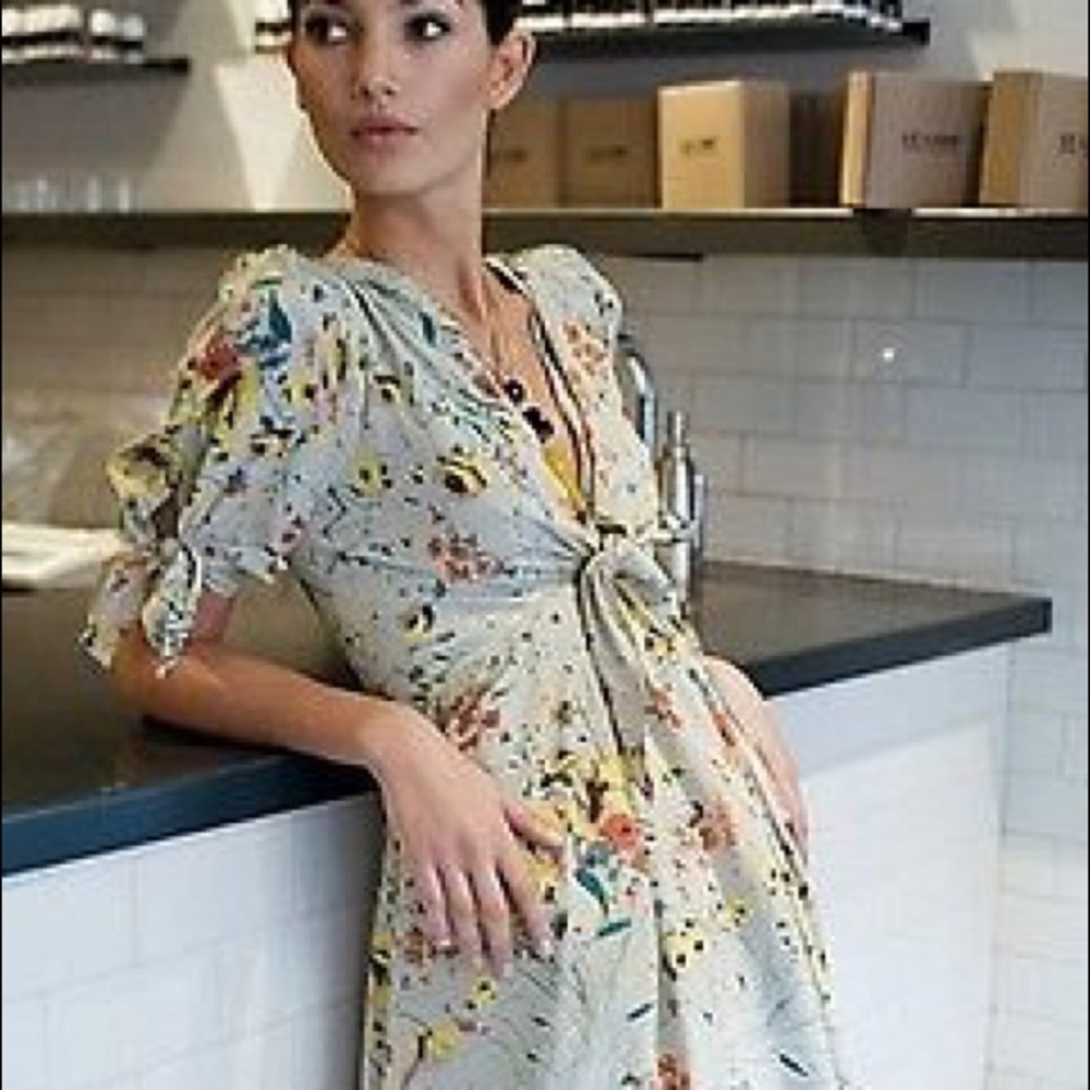 Anthropologie Baraschi brand soft silk dress - Picture 1 of 8